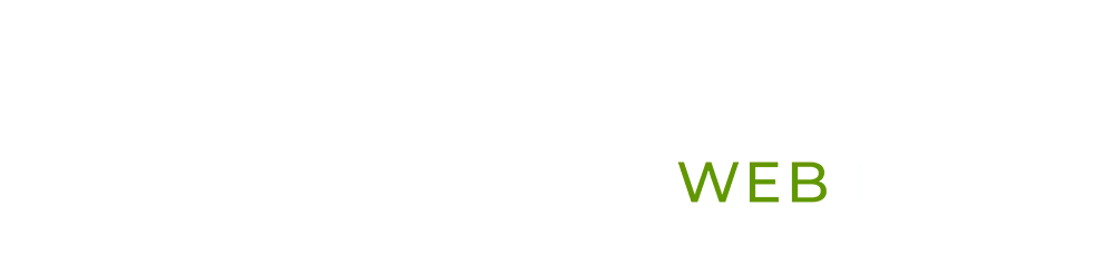Sandro Renk Webdesign und Brand Development