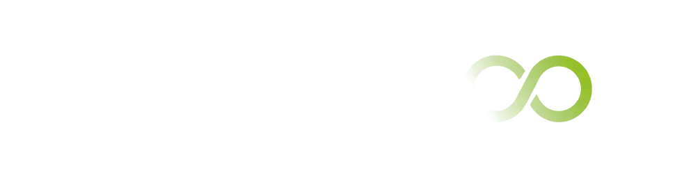 Logo bizandoo.com solution for local businesses